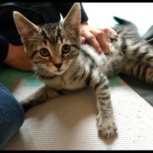 Meet your Posher, Jenn